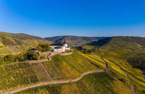 Ferienhaus Am Moselstausee - Foto 58