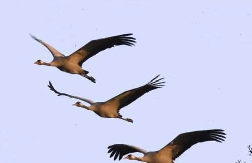 Heidehof Hellenthal - Foto 51