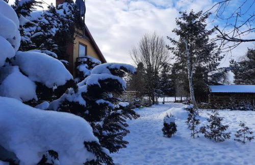 Dworska Zagroda - Foto 60