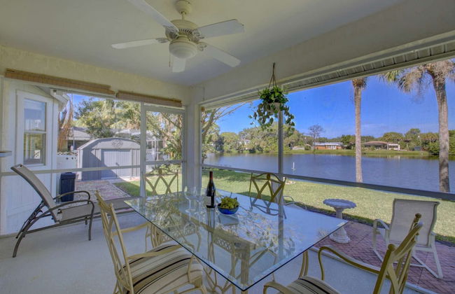 Smiling Dolphin - Foto 12