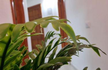 De Villa Suites - Foto 30