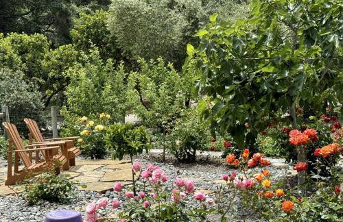 Chic Woodland Yurt Rental on a Wellness Ranch in Southern California - Foto 24