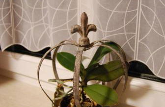 FEWO Geborgenheit ASZA mit strahlungsfreien Zonen - Foto 30