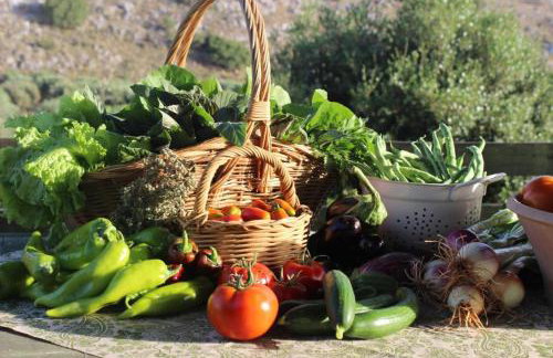 Orgon Farm Country Houses - Foto 23