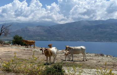 Villa Mouria private villa just 200m from the sea - Foto 8