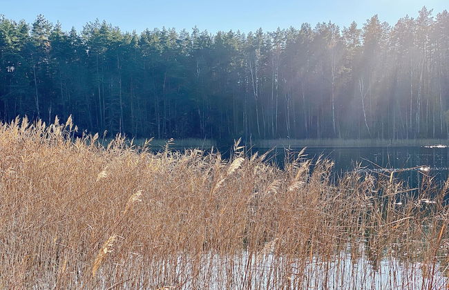 The Lake. Unique Waterfront Villa - Photo 45