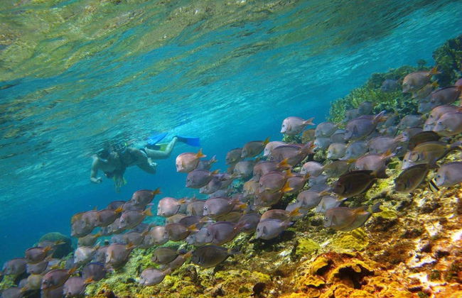 Snorkeling à San Andrés - Photo 3
