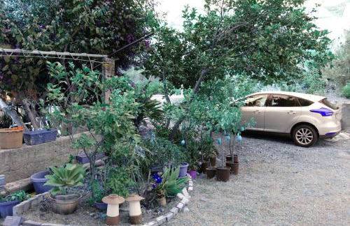 Paradiso in riva al mare - Foto 35