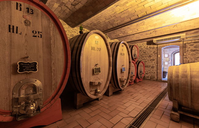 2 bedroom House in Cinigiano with private pool and garden - Photo 53