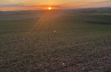 Stewards Cottage - Foto 42