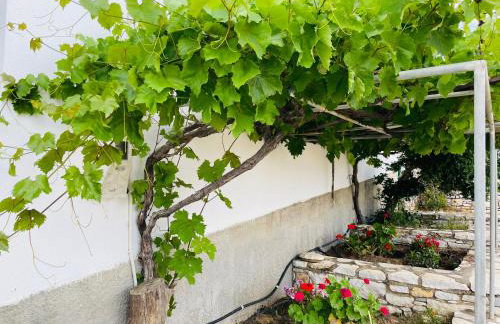 Anevalousa Beach House - Foto 14