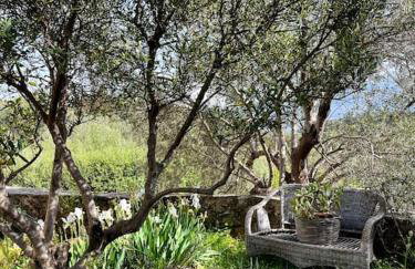 Maison Théia, entre mer et montagne Samonas - Foto 54