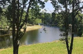 Casa da Mena - Casa de Campo no Caramulo - Foto 13