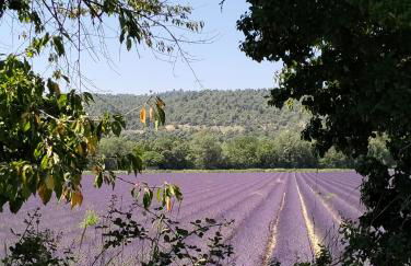 La Provence vous Attend***!!! - 1er étage - Foto 29