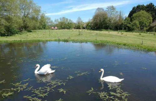 Riverside Retreat - Foto 21