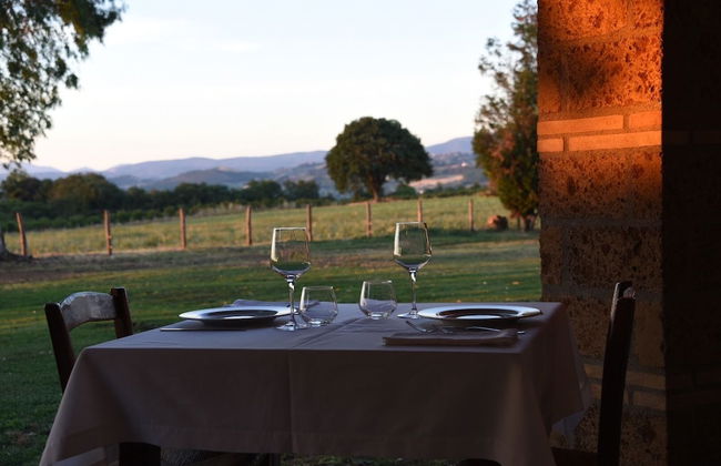 Fattoria Lucciano - Foto 1