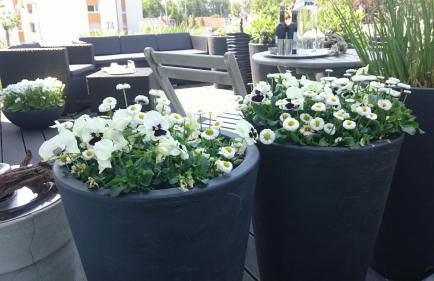 K82 studio HOTEL relax&work - Foto 19