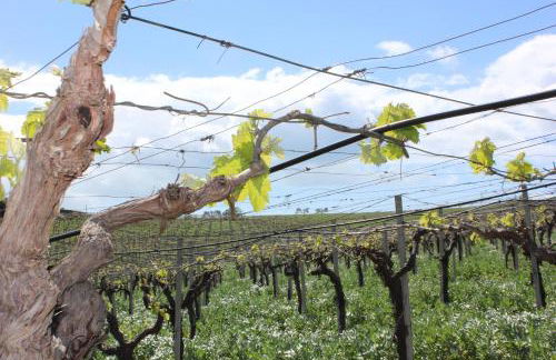 Agriturismo La Casa di Bacco - Foto 75