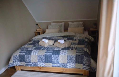 Park Wilkasy - Foto 74