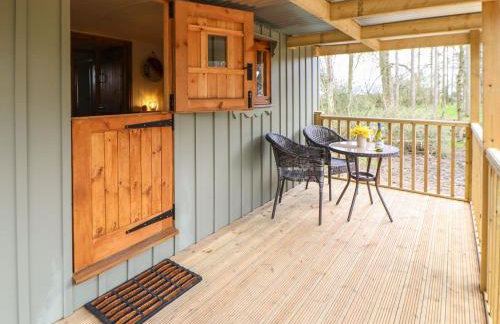 Bracken Fern - Photo 5