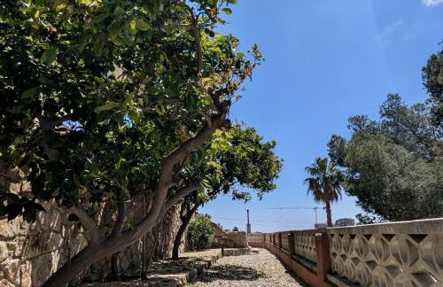 EVH-113 Casa Martina - Photo 9