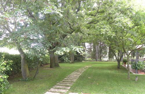 Ghiaccio Bosco - Foto 69