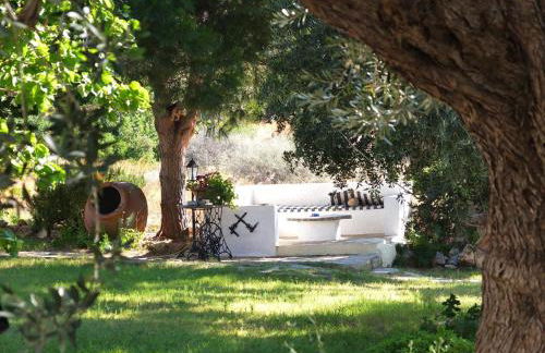 Tiki Rooms - Foto 51