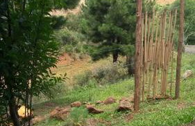 CHALÉ ESTÂNCIA OURO VERDE - Photo 30