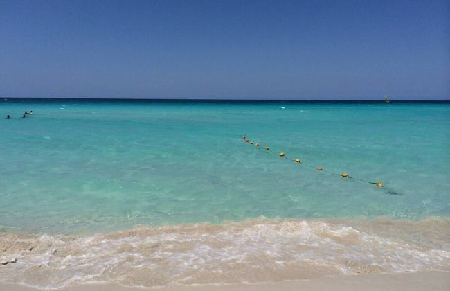 Holiday rental in Cárdenas with garden - Photo 24