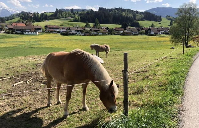 Nice Holiday Apartment in Fischen - Photo 28