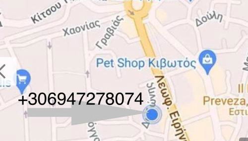 DM's Penthouse - Foto 2