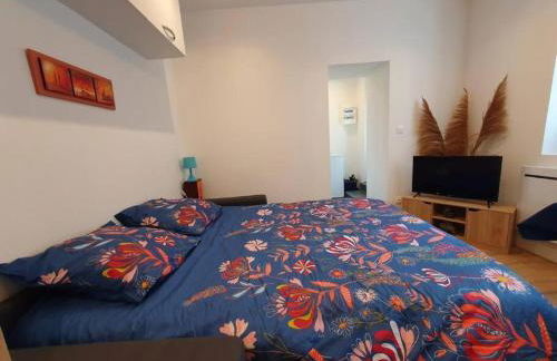 Appart'hôtel, IKIMO 5 appartements entiers à votre disposition au choix - Foto 59