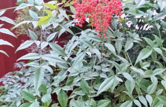 Fortezza garden apartment - Foto 19