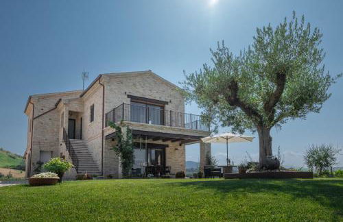 AGRITURISMO SAN NICOLINO - Foto 43