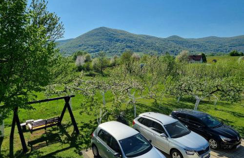 Apartment Rosandić - Foto 15