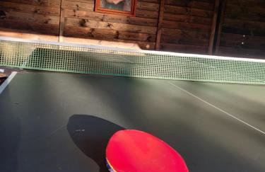 Siedlisko Owink - Foto 45