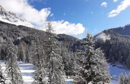 Lärchenheim - Foto 20