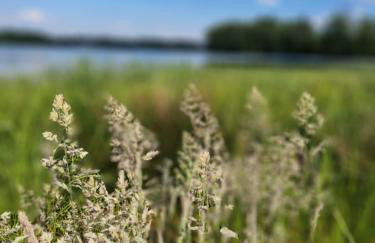 Ranczo na Kaszubach - Foto 19