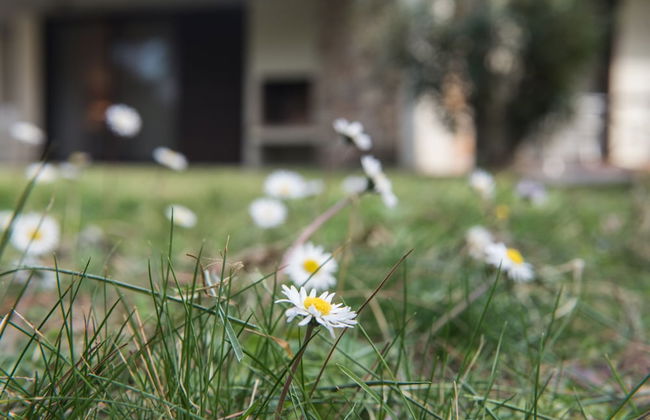 Villa Armonia by halu! Villas - Foto 42