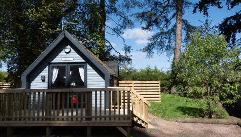 Ceridwen 6 - Hot Tub-Luxury-Pets-Perthshire-Romantic-Dundee - Foto 2, Garden