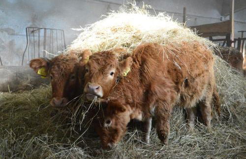 Agriturismo Giandriale - Foto 35