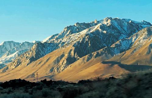 The Mammoth House - Photo 14