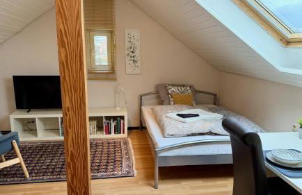 Domus Palatina FeWo & Business Apartments - Foto 1