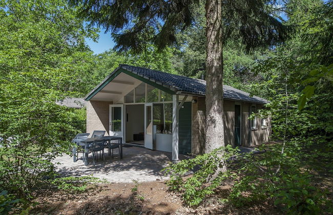 Comfortable Bungalow on the Veluwe - Photo 16