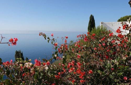 PUSHE Village El Palmito Nature & Relax - Foto 5