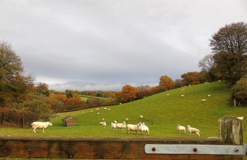 Gwilym's Stable - Foto 13