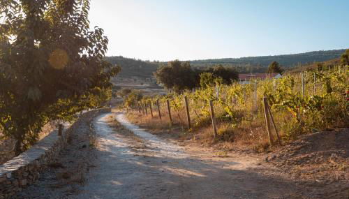 Casa do Vale - Foto 5