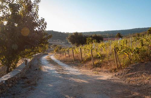 Casa do Vale - Photo 5