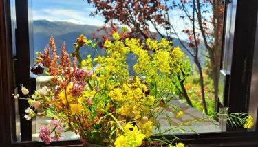 Winter Breeze - Foto 5