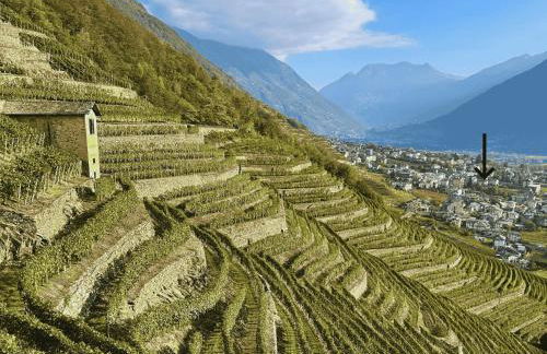 Valtellinda - Foto 12